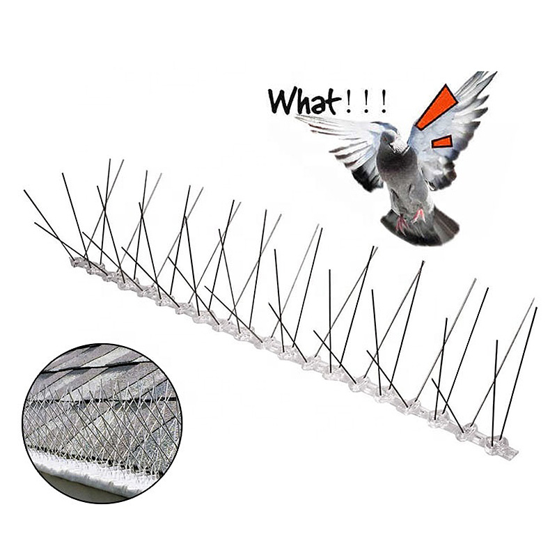 Chain link fence