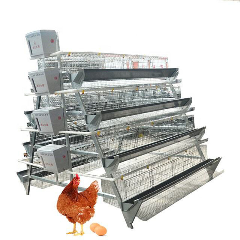 Chicken Cage