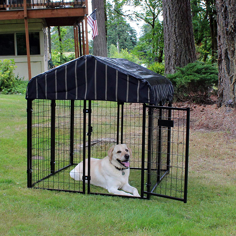 Dog Cage